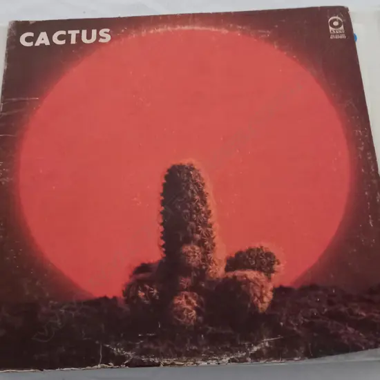 Cactus (3), Cactus